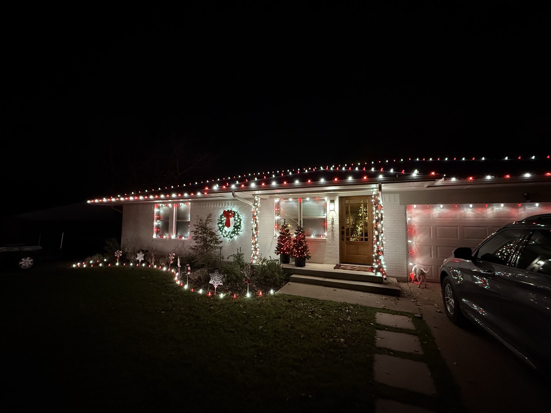 Christmas Light Installation