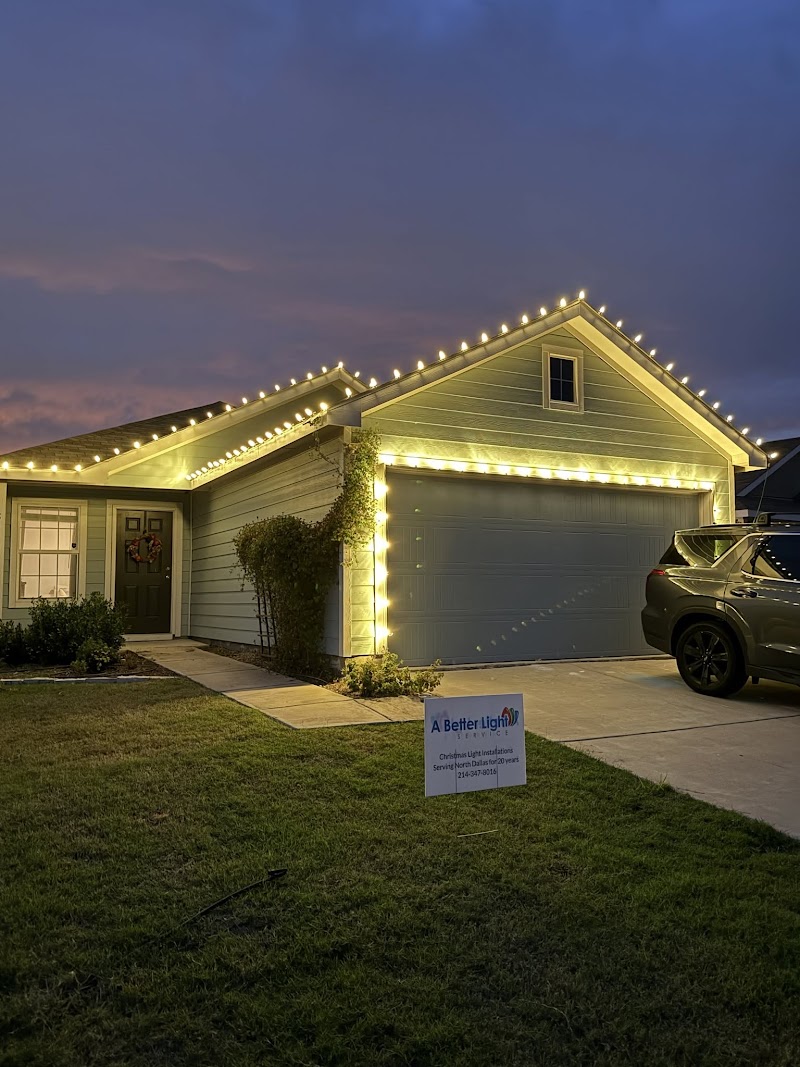 Christmas Light Installation