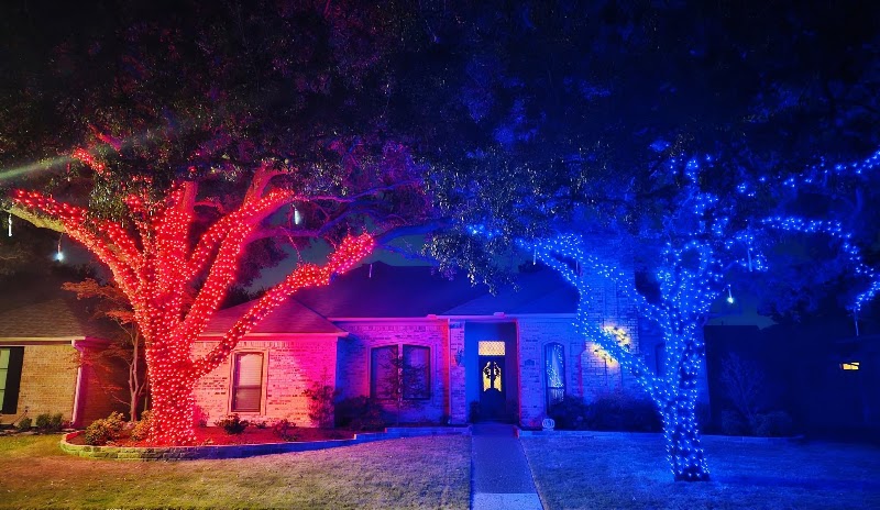 Christmas Light Installation